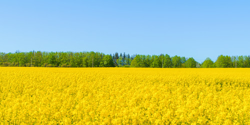 Similar image 22081228