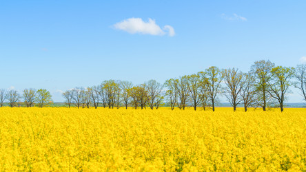 Similar image 22081232