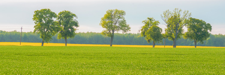 Similar image 22081233