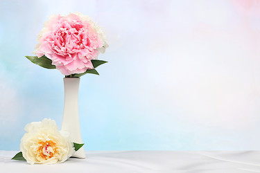 Similar image 22080673