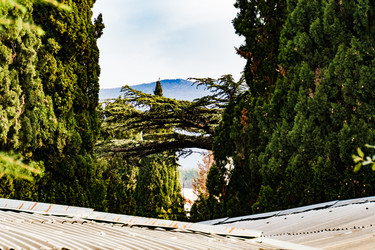 Similar image 22087711