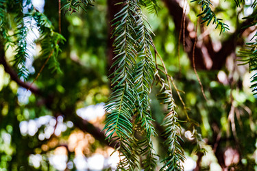 Similar image 22087712