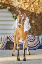 Similar image 22081610