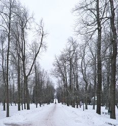 Similar image 22081671