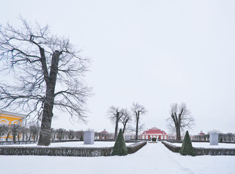 Similar image 22081673