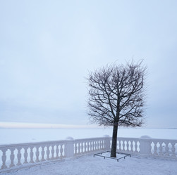 Similar image 22081679