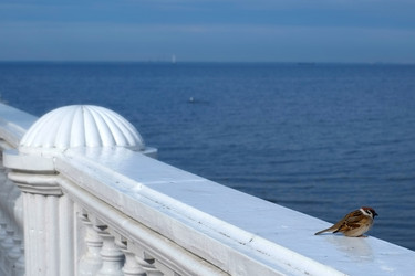 Similar image 22081690