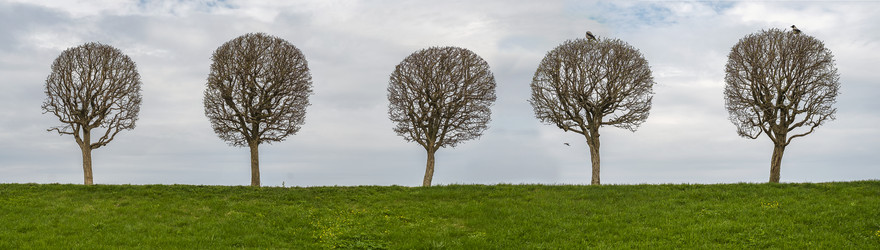 Similar image 22081705