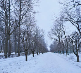 Similar image 22081706