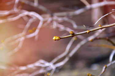 Similar image 22081245