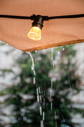 Similar image 22085228