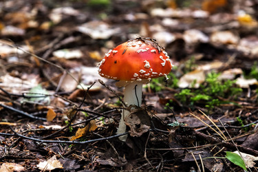 Similar image 22083444