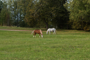 Similar image 22083445