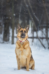 Similar image 22081979