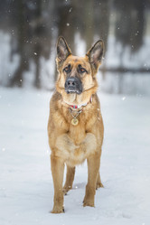 Similar image 22081982