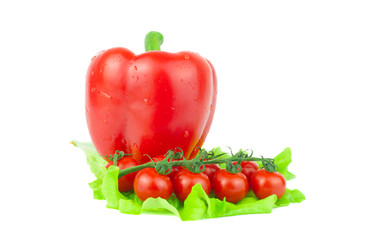 Similar image 22082009