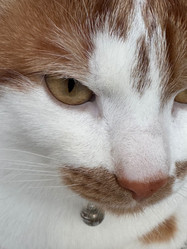 Similar image 22083463