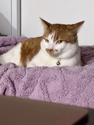 Similar image 22083465