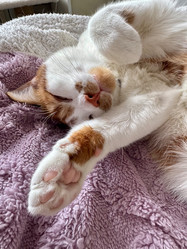 Similar image 22083467