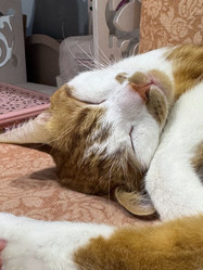 Similar image 22083468