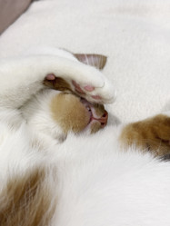 Similar image 22083469