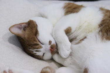 Similar image 22083471