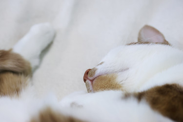 Similar image 22083473