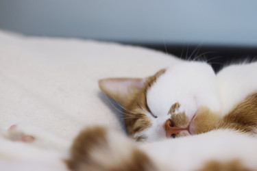 Similar image 22083483