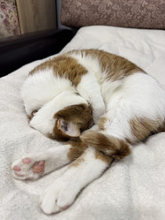 Similar image 22083484