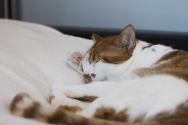 Similar image 22083486