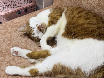 Similar image 22083487