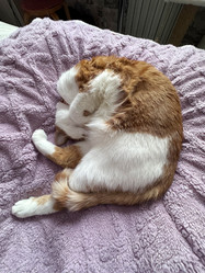 Similar image 22083488