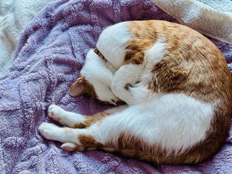 Similar image 22083490