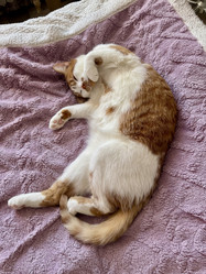 Similar image 22083491