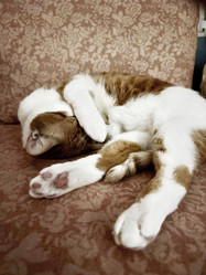 Similar image 22083492