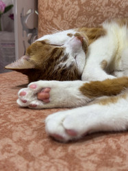 Similar image 22083493