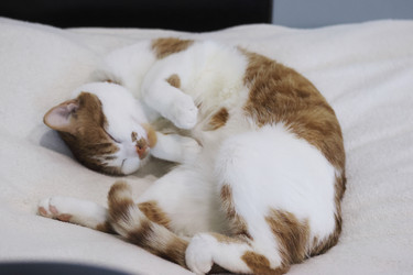 Similar image 22083494