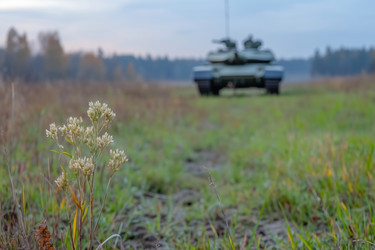 Similar image 22087620