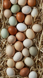 Similar image 22083958