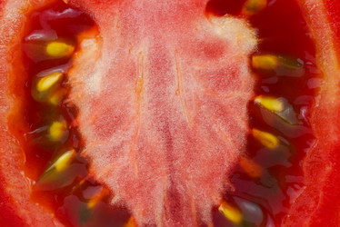 Similar image 22083513