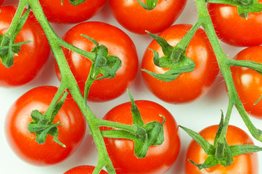 Similar image 22083516