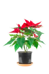 Similar image 22083517