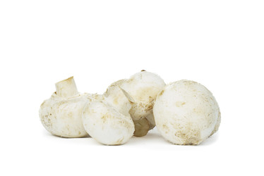 Similar image 22083520