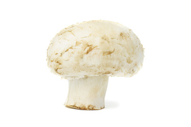 Similar image 22083522