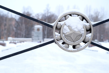 Similar image 22083560