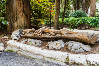 Similar image 22087716