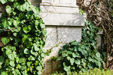 Similar image 22087717