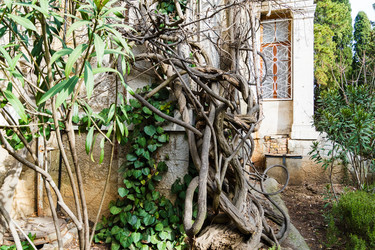 Similar image 22091469