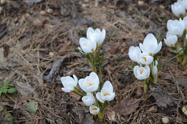 Similar image 22083579