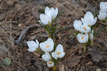 Similar image 22083580